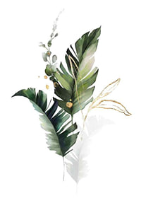 Watercolor of green leaves and gold details on white background-7