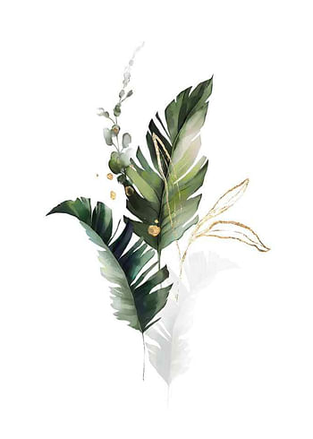 Poster Watercolor Botanical No1