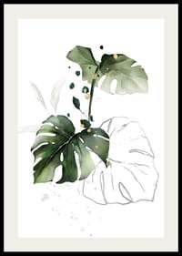 Watercolor of monstera leaves in green shades on white background-2