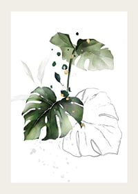Watercolor of monstera leaves in green shades on white background-3
