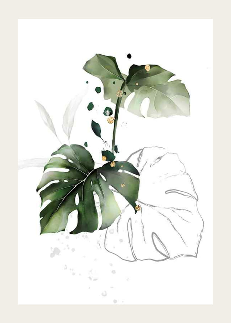 Watercolor of monstera leaves in green shades on white background-12