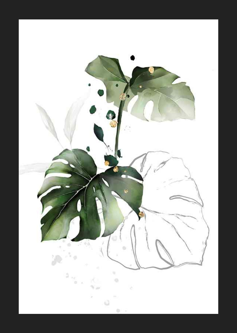 Watercolor of monstera leaves in green shades on white background-12
