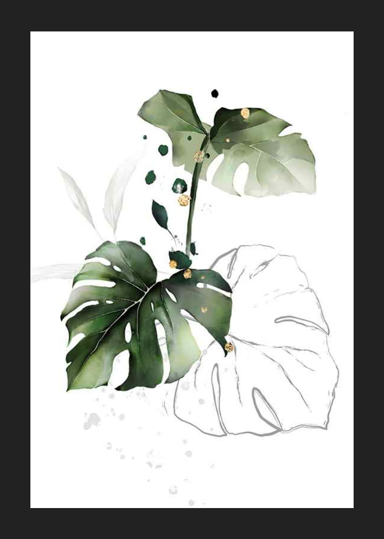 Watercolor of monstera leaves in green shades on white background-12