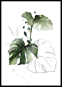 Watercolor of monstera leaves in green shades on white background-6