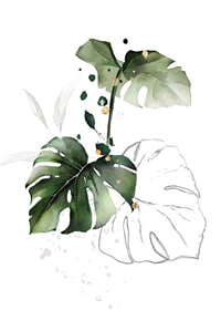 Watercolor of monstera leaves in green shades on white background-7