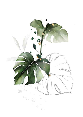 Poster Watercolor Botanical No2