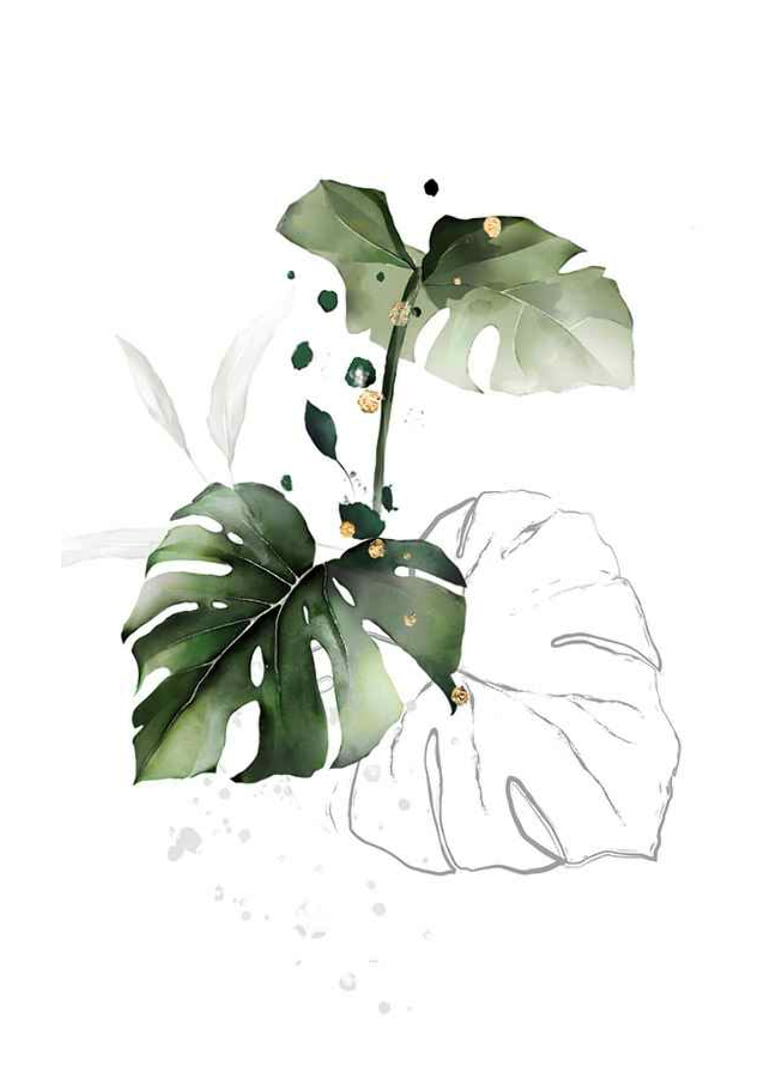Watercolor Botanical No2 Poster | Botanical | Gallerix.co.uk