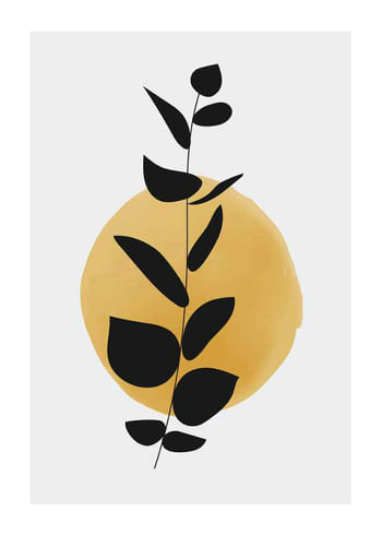 Poster Sunrise Branch