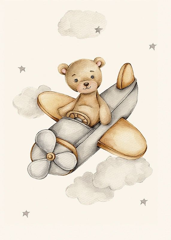 Airplane Teddy-12