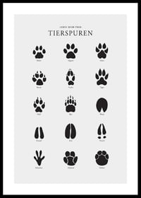 Tierspuren-0