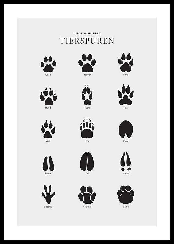 Tierspuren-12
