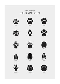 Tierspuren-1