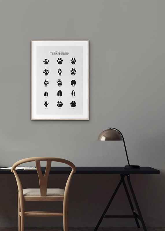 Poster Tierspuren crossfade