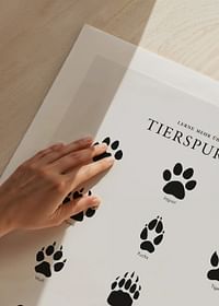 Tierspuren-5