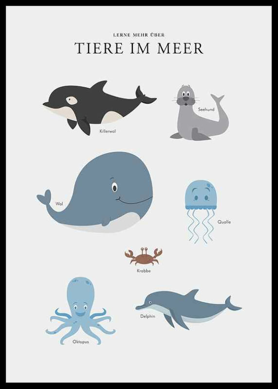 Tiere Im Meer-12
