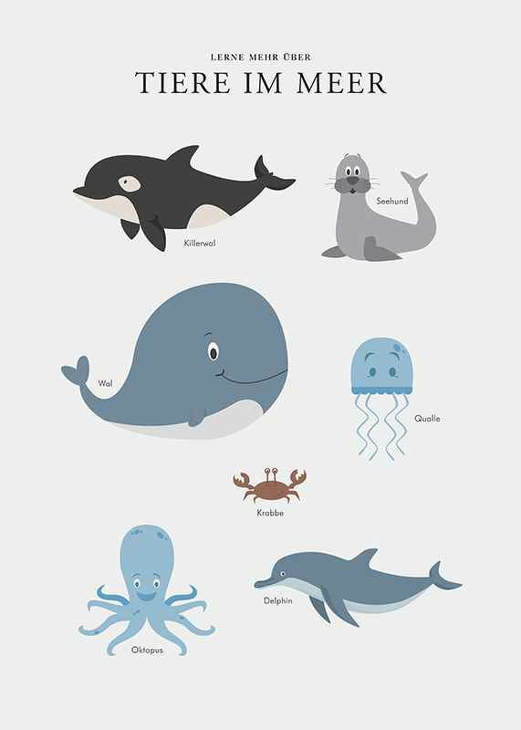 Tiere Im Meer-12