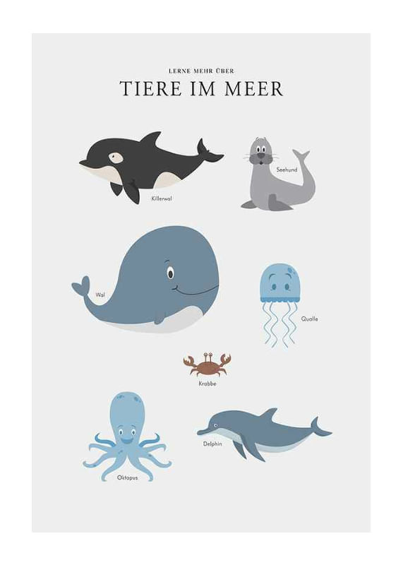 Tiere Im Meer-12
