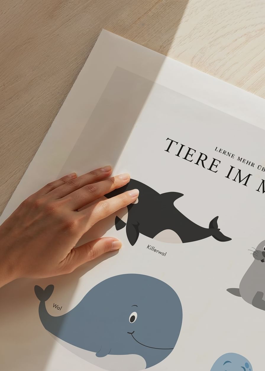 Tiere Im Meer-12