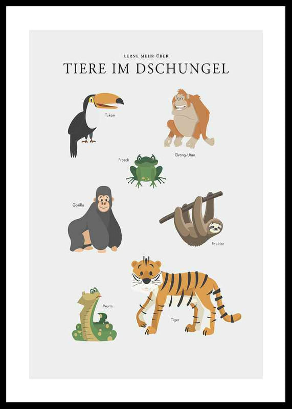 Tiere Im Dschungel-12