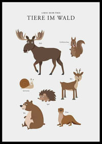 Tiere Im Wald-2