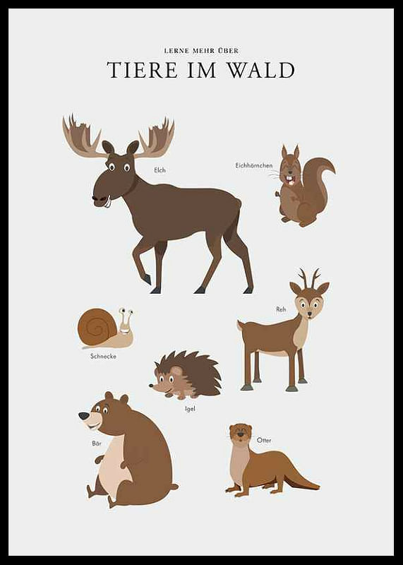 Tiere Im Wald-12