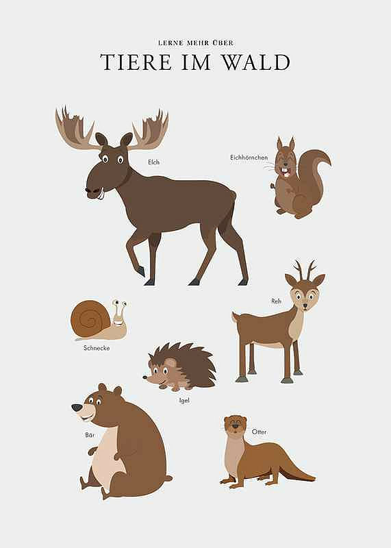 Tiere Im Wald-12