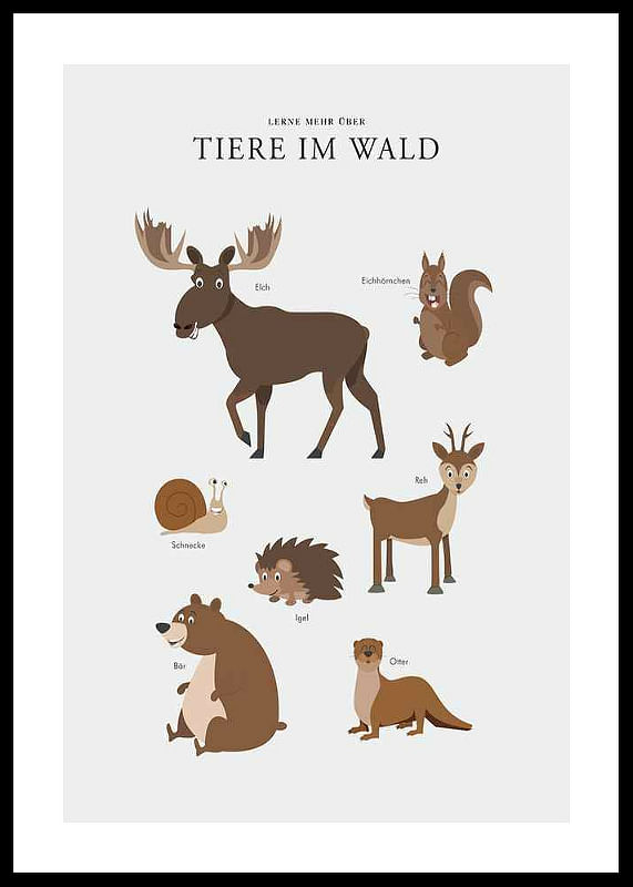 Tiere Im Wald-12