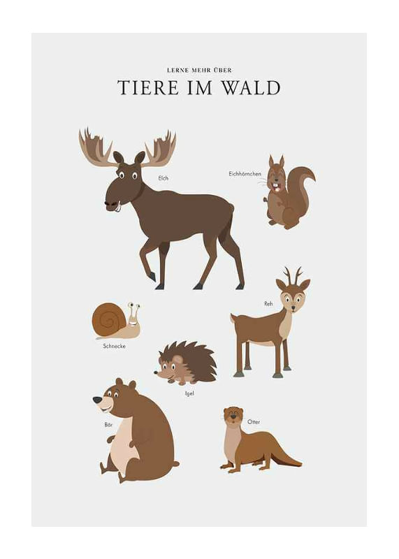 Tiere Im Wald-12