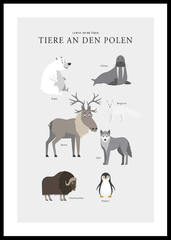 Poster Tiere An Den Polen