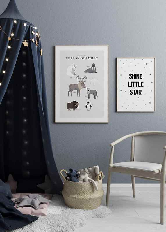 Poster Tiere An Den Polen crossfade