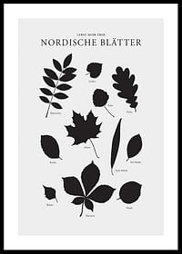 Nordische Blätter-0