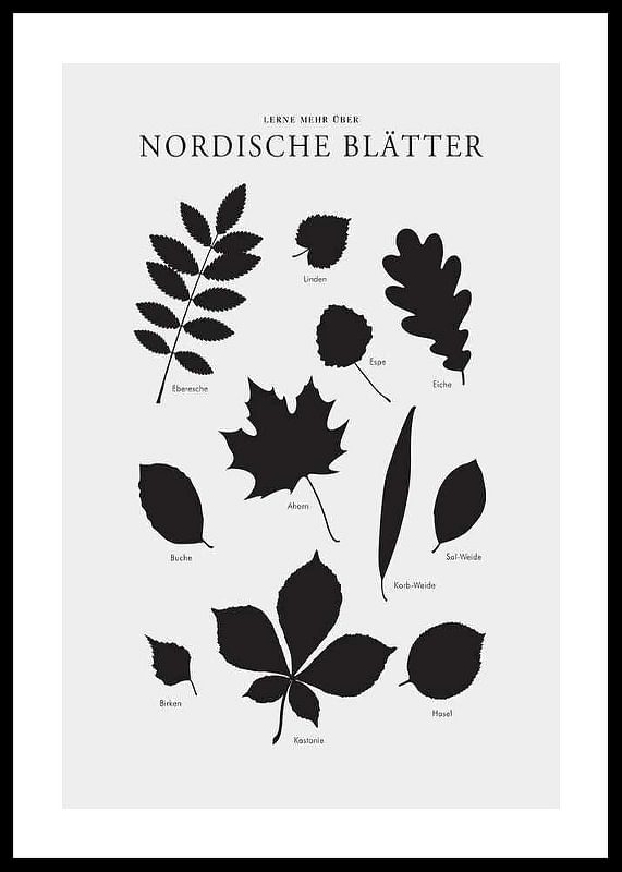 Nordische Blätter-12