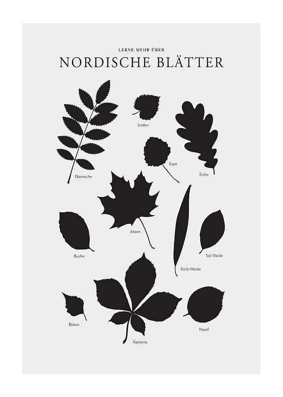 Nordische Blätter-12