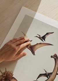 Illustrierte Dinosaurier und Flugsaurier in sanften Farben-9