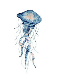 Watercolor painting of blue jellyfish with thin tentacles on white background-1