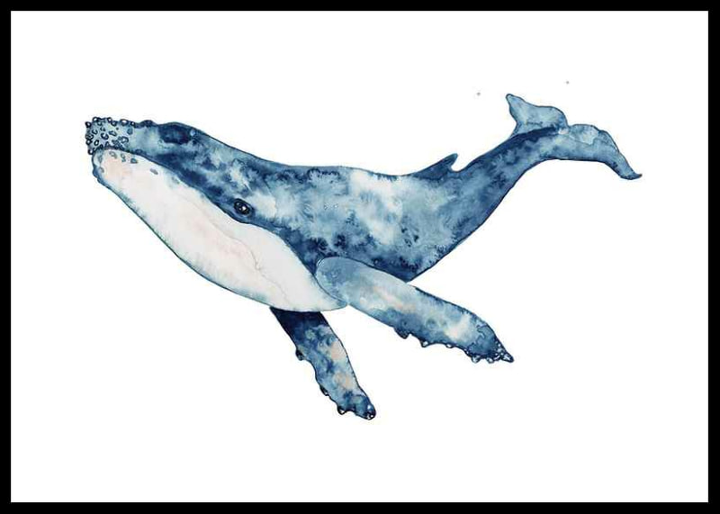 Akvarellillustration av blåval med vita och blå toner-12