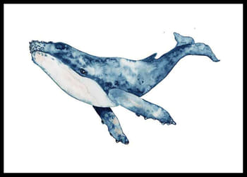 Poster Big Whale
