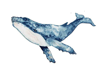 Poster Big Whale