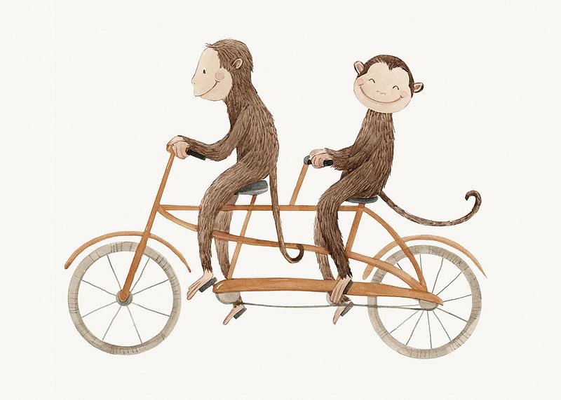 Monkey Bicycle-12