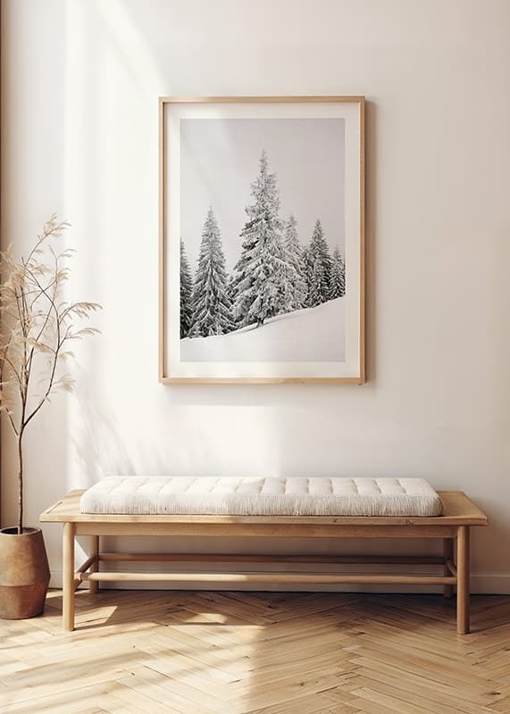 Fotografi av snötäckta granar på sluttande vinterskog-12