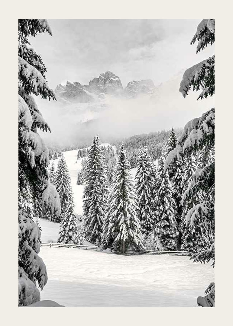 Fotografische Winterlandschaft mit schneebedeckten Tannen und Bergen-12
