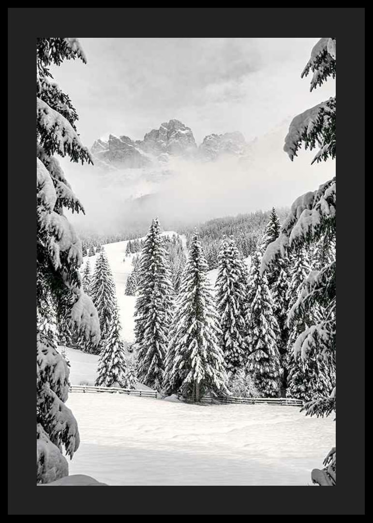 Fotografische Winterlandschaft mit schneebedeckten Tannen und Bergen-12