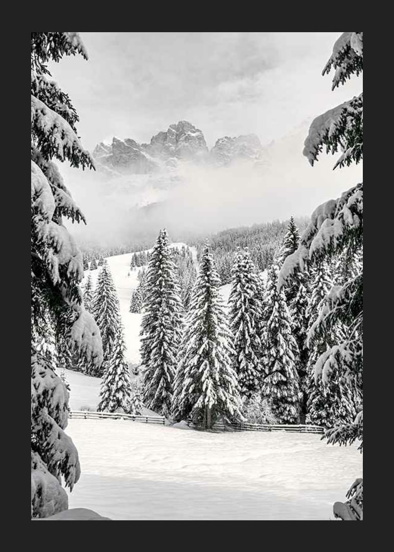 Fotografische Winterlandschaft mit schneebedeckten Tannen und Bergen-12