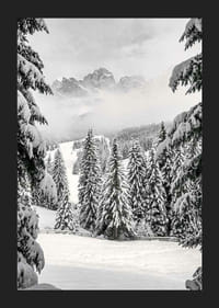 Fotografisk vinterlandskap med snødekte grantrær og fjell-5