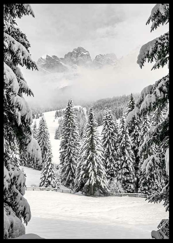 Fotografische Winterlandschaft mit schneebedeckten Tannen und Bergen-12