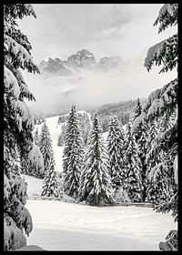 Between Spruces-2