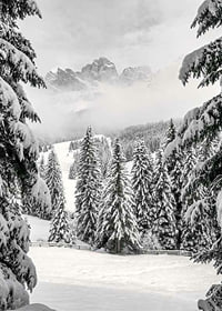 Fotografische Winterlandschaft mit schneebedeckten Tannen und Bergen-7