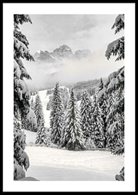 Fotografische Winterlandschaft mit schneebedeckten Tannen und Bergen-0