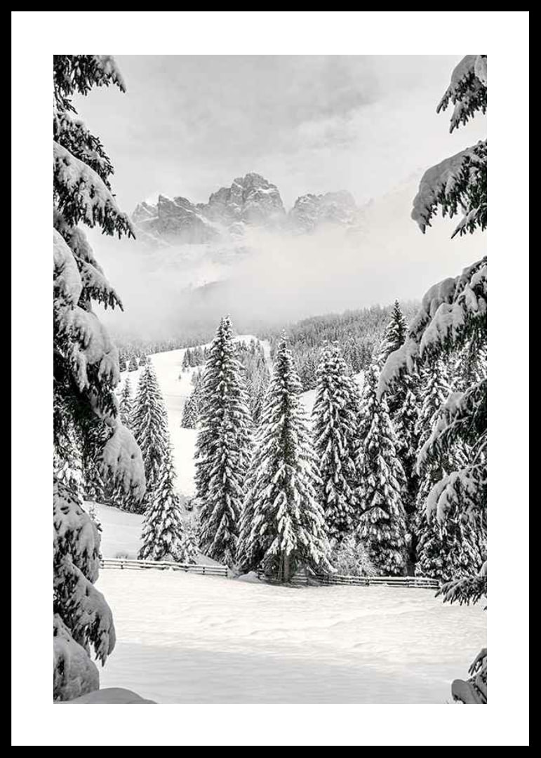 Fotografische Winterlandschaft mit schneebedeckten Tannen und Bergen-12