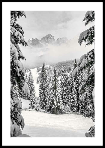 Poster Between Spruces